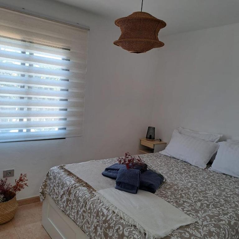 Oasis en Corralejo - Apartamento de 2 dormitorios - 19