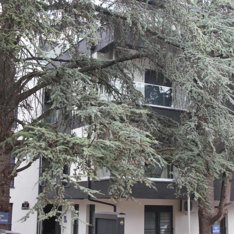 Apartment Ornament Lux B11 - Apartman sa 1 Spavaćom Sobom - 9