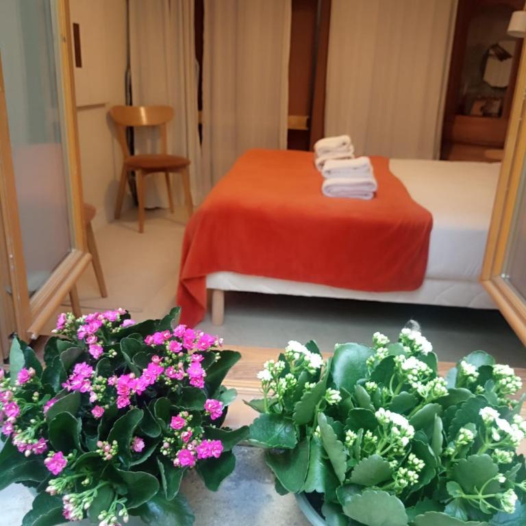 Paris Saint germain amazing Odéon - Appartement 1 Chambre - 13