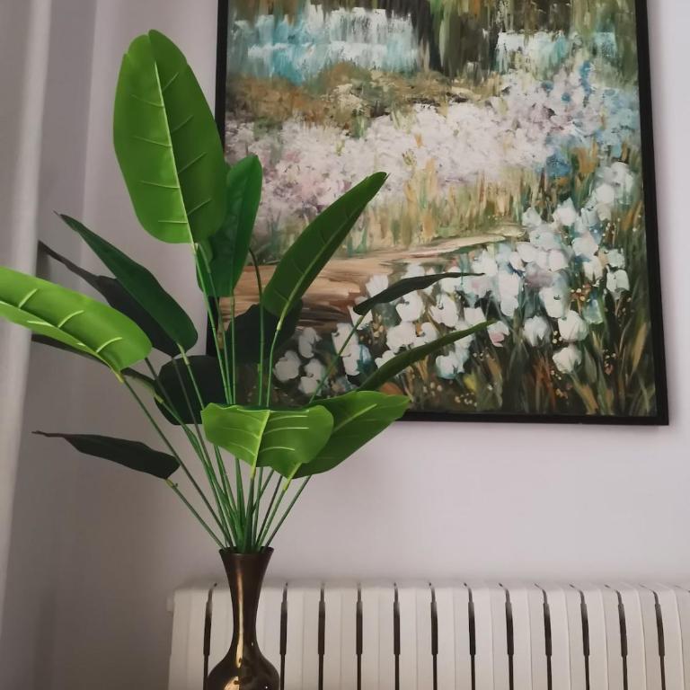 Apartamento El Olivo - Apartamento de 1 dormitorio - 15
