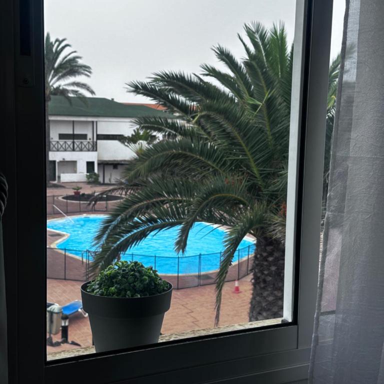 Casa Dunas Verdemar - Apartamento de 1 dormitorio - 21