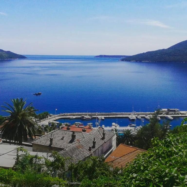 Herceg Novi Guest house - Apartman sa 1 Spavaćom Sobom - 5
