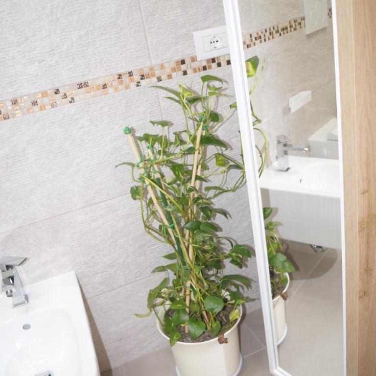 MareA Apartments - Appartamento con 1 Camera da Letto - 21