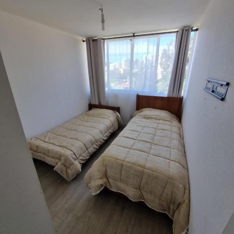 Entire apartment in Viña del Mar - Apartamento de 2 dormitorios - 5