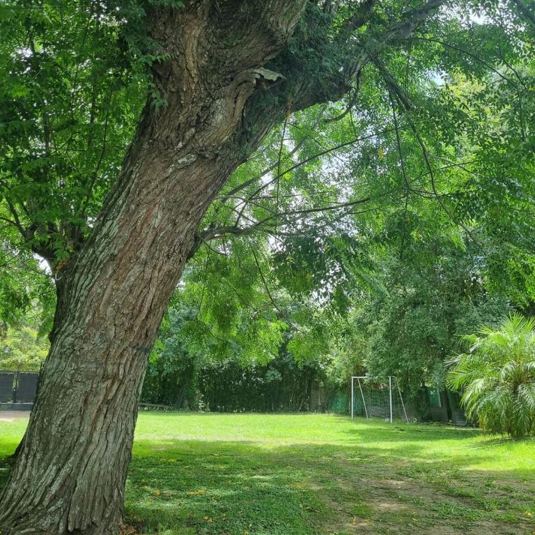 Quinta Benavidez - Casa de 3 dormitorios - 6