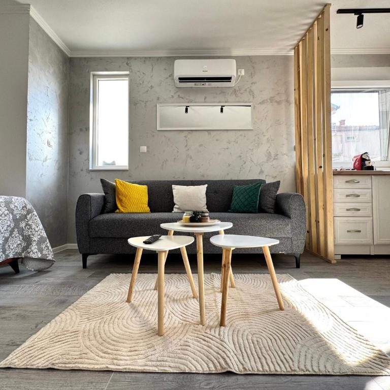 Apartment 'Avlija' - One-Bedroom Apartment - 10