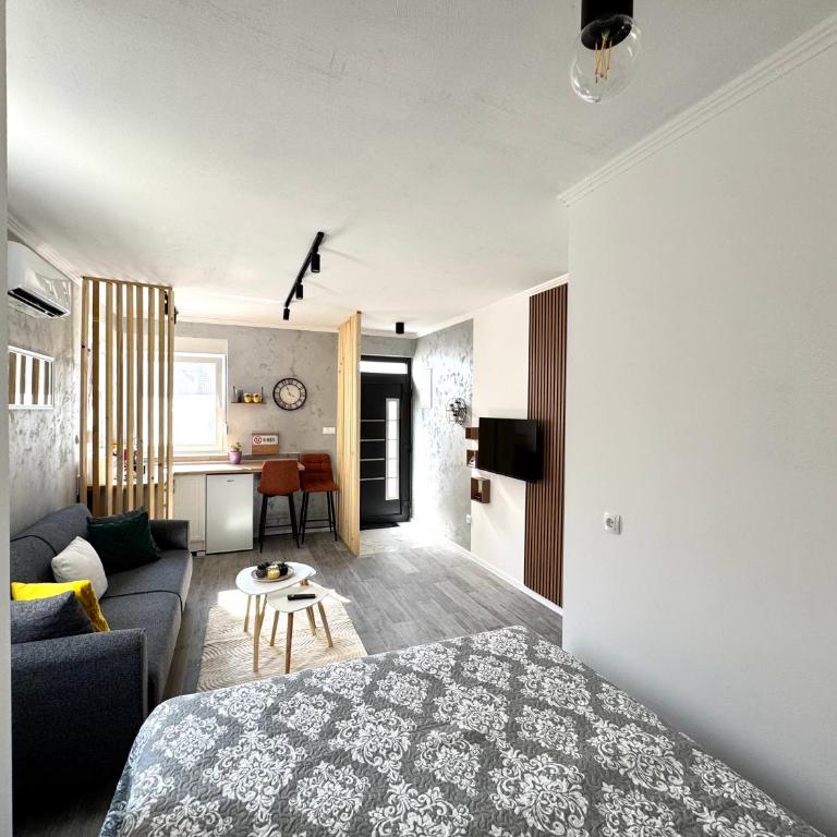Apartment 'Avlija' - One-Bedroom Apartment - 1