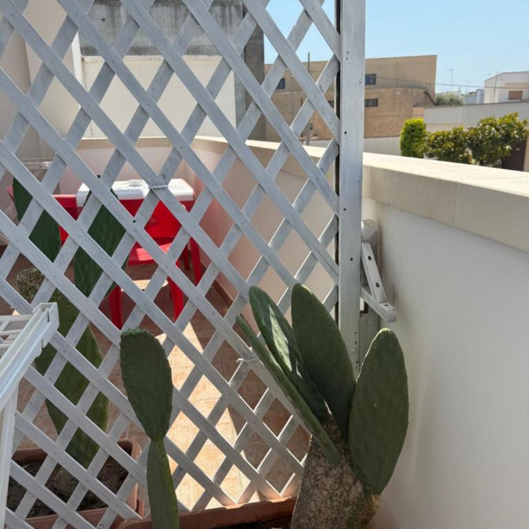 B&B Magic Holiday - Camera Matrimoniale con Letto Supplementare - 3