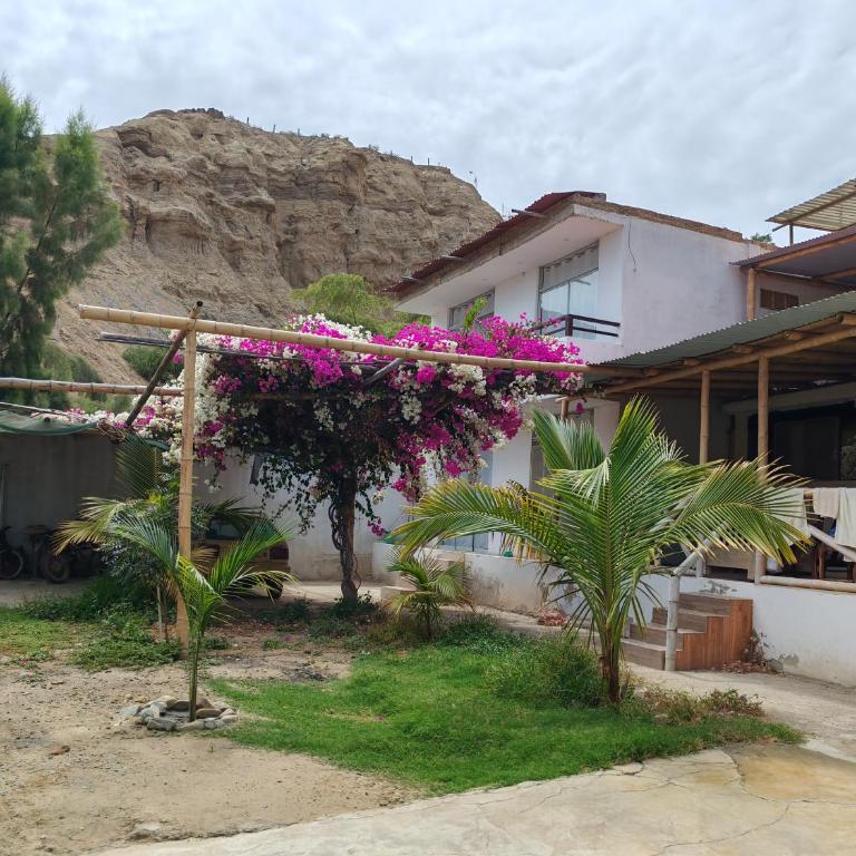 Villa Naylamp loft8 playa pocitas - Villa - Beach Front - 22