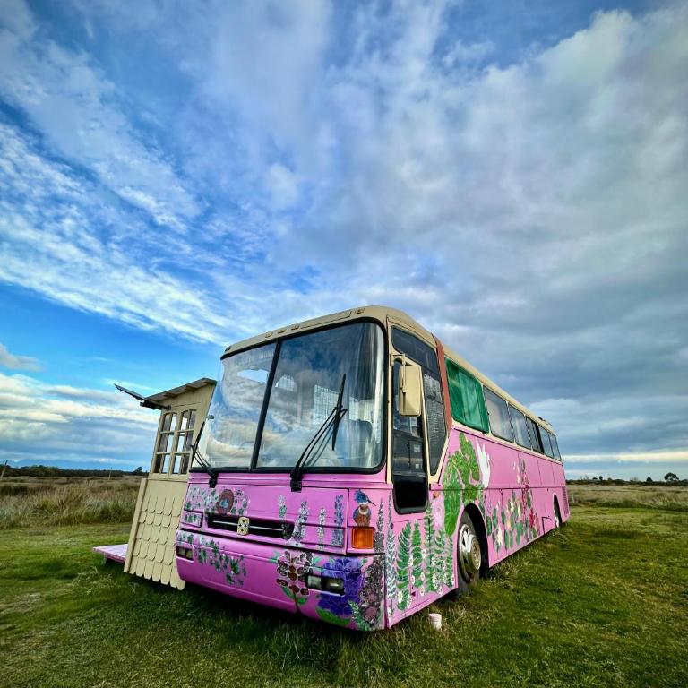 Bus Casa en observatorio de aves - Apartamento de 1 dormitorio - 3