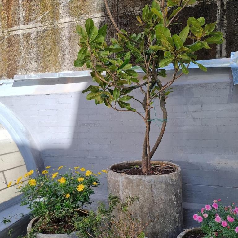 Chico 94 Big Terrace - Apartamento de 3 dormitorios - 15