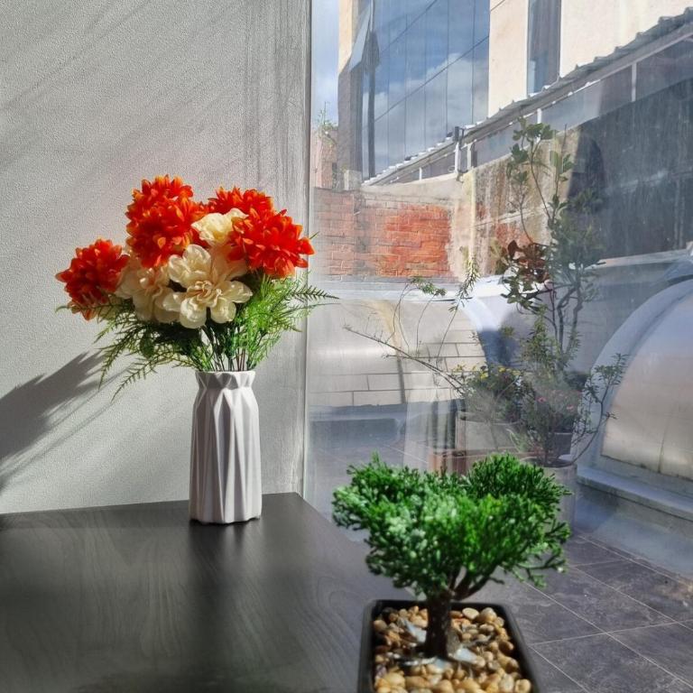 Chico 94 Big Terrace - Apartamento de 3 dormitorios - 22