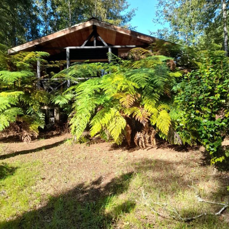 collico lodge kilometro 4 relun - Casa de 2 dormitorios - 13