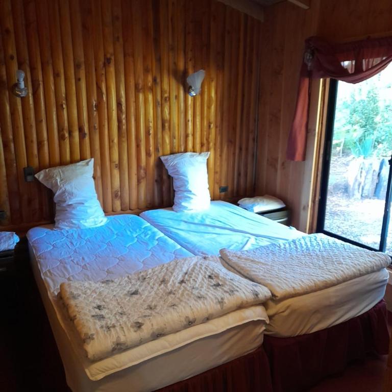 collico lodge kilometro 4 relun - Casa de 2 dormitorios - 22
