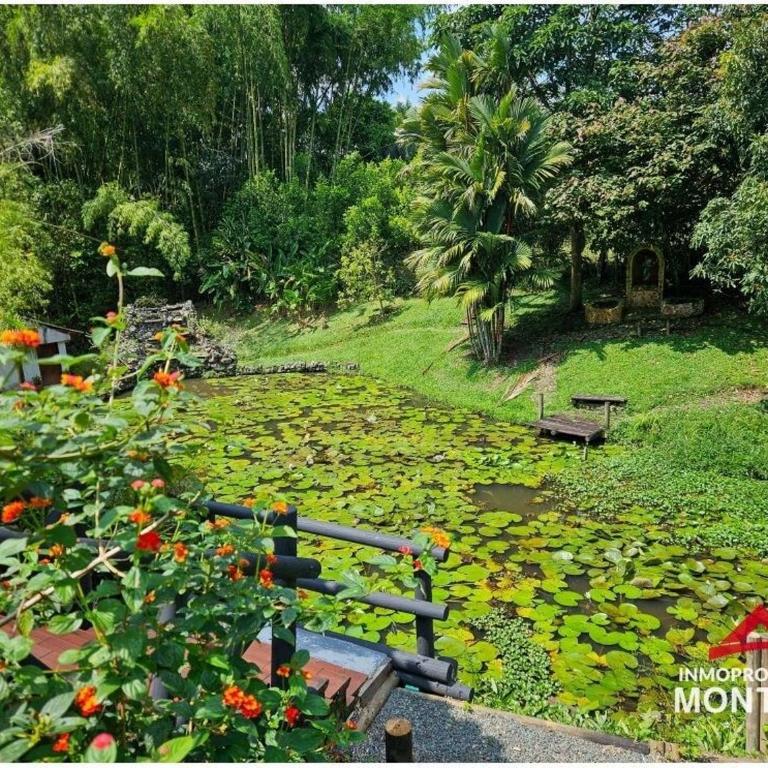 El Palmar Cerritos - Casa de 3 dormitorios - 21