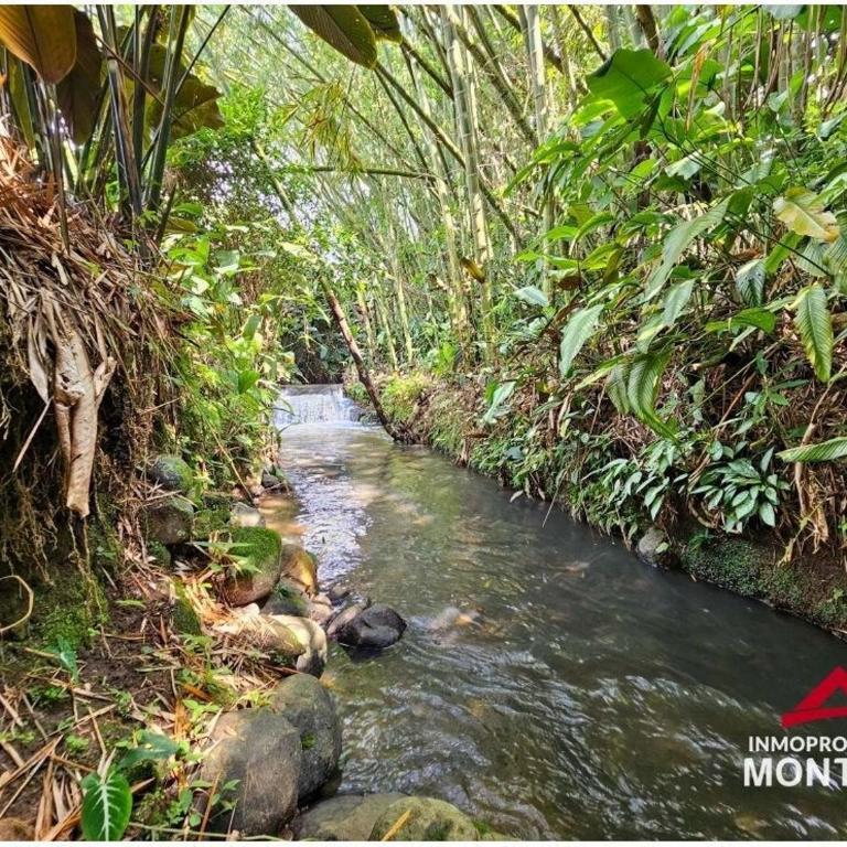 El Palmar Cerritos - Casa de 3 dormitorios - 22