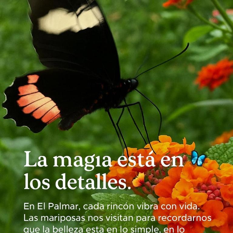 El Palmar Cerritos - Casa de 3 dormitorios - 24