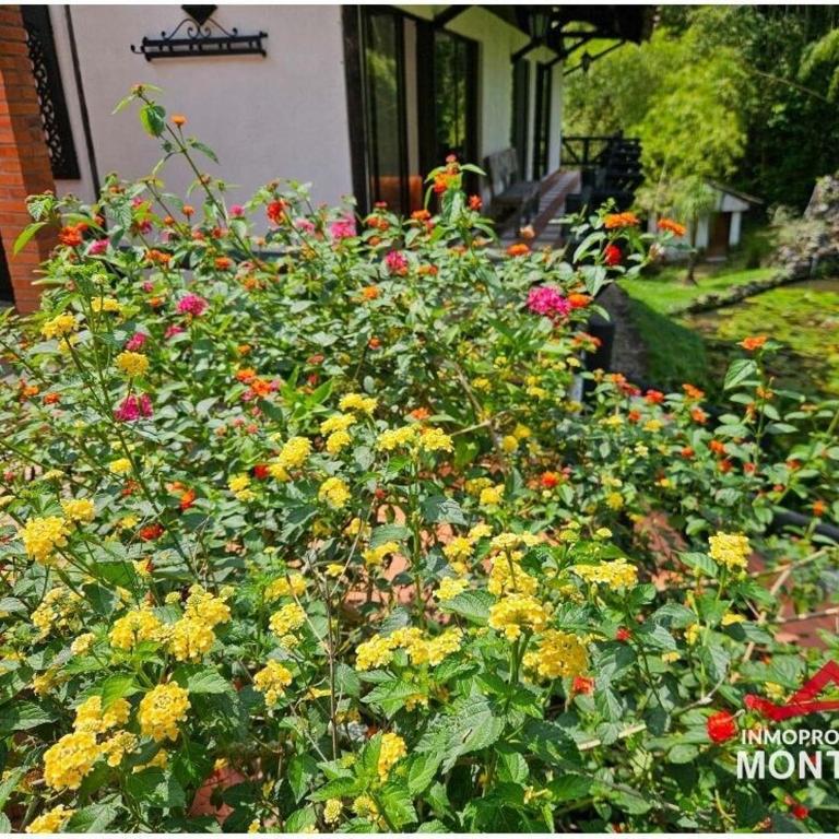 El Palmar Cerritos - Casa de 3 dormitorios - 30