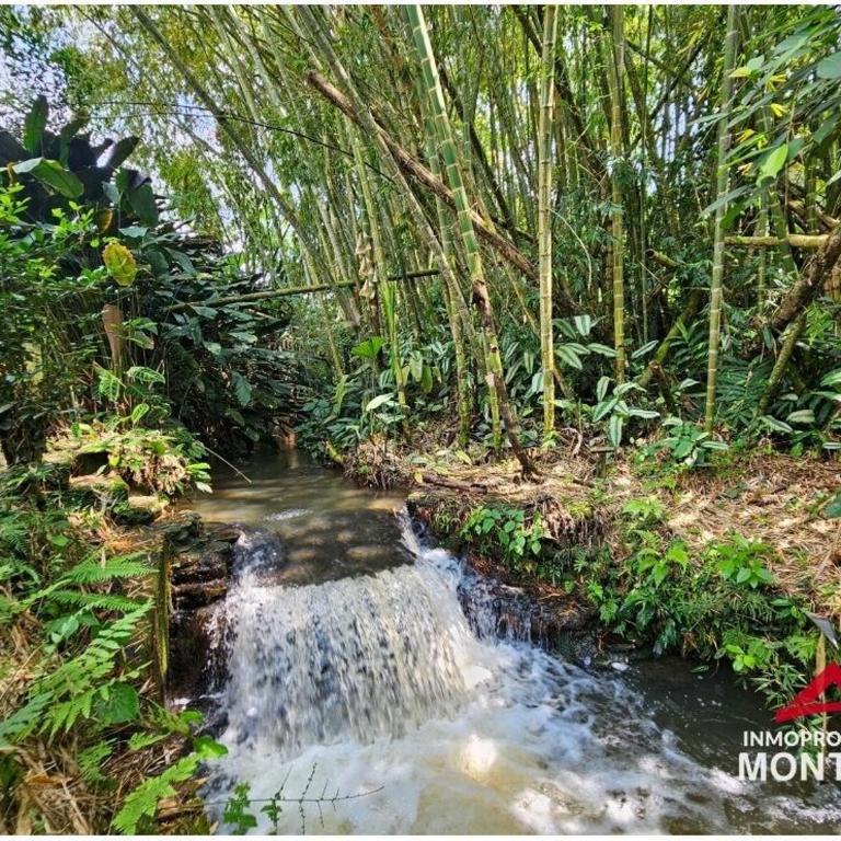 El Palmar Cerritos - Casa de 3 dormitorios - 32