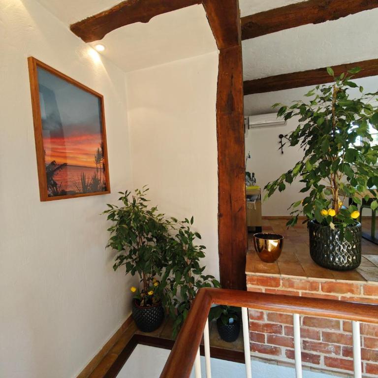 Provençal detached house and private pool - Villa mit 2 Schlafzimmern - 16
