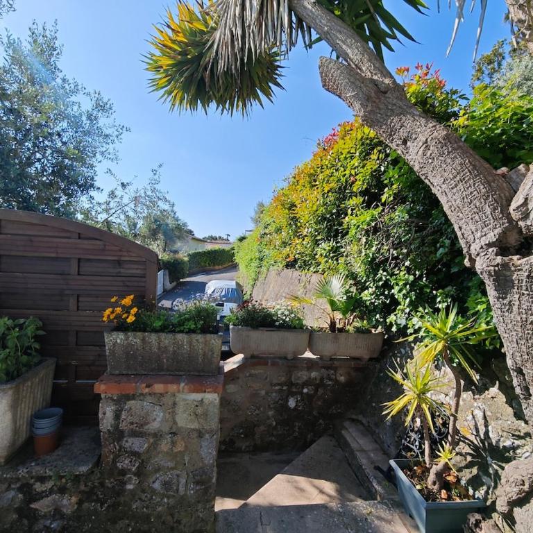 Provençal detached house and private pool - Villa mit 2 Schlafzimmern - 33