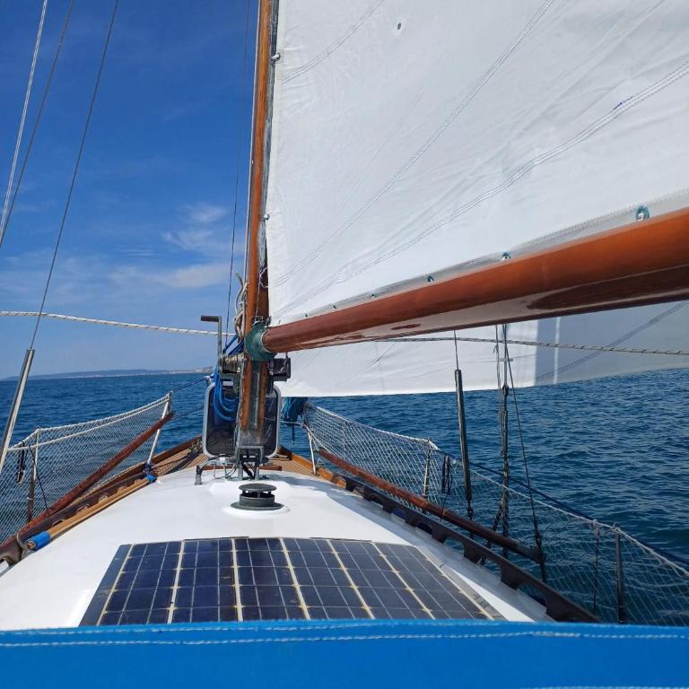 Atypique - Boot - 4