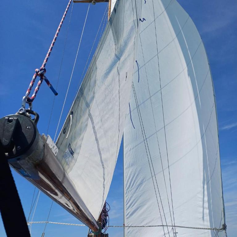 Atypique - Boot - 3
