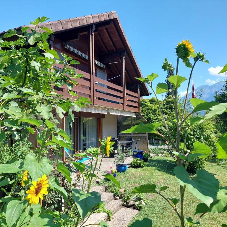 Chalet Rose - Einfamilienhaus - Maison 3 Chambres - 1