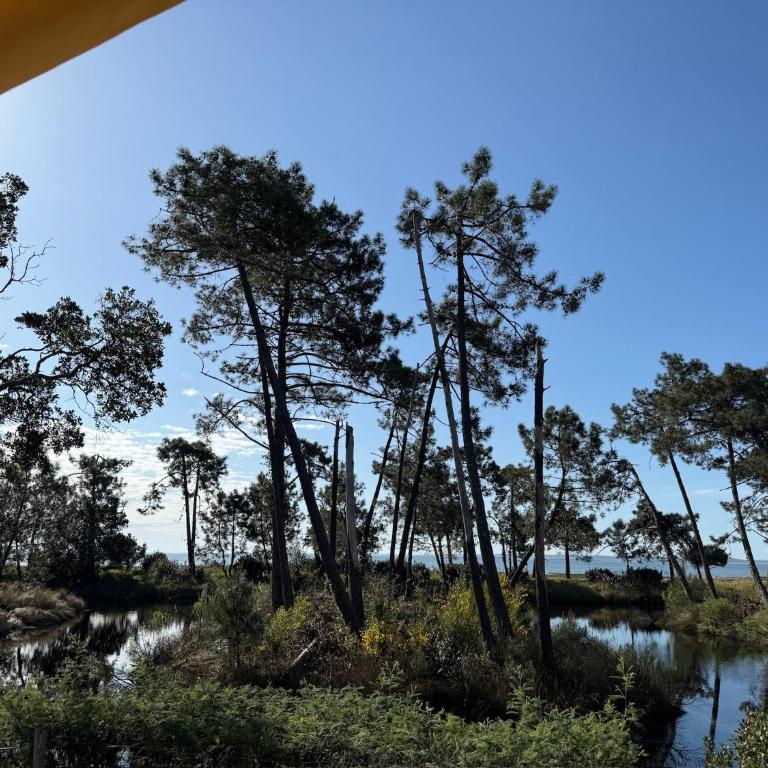 Mobilhome haut de gamme avec vue exceptionnelle sur le Bassin Arcachon - 6 Personnes - Maison 2 Chambres - 15