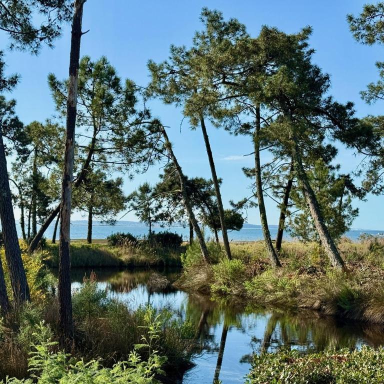 Mobilhome haut de gamme avec vue exceptionnelle sur le Bassin Arcachon - 6 Personnes - Maison 2 Chambres - 19