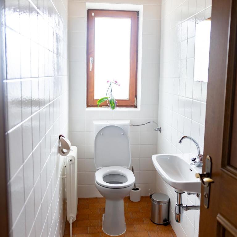 Alpenpause Apartment in Telfes - Apartment mit 2 Schlafzimmern - 17