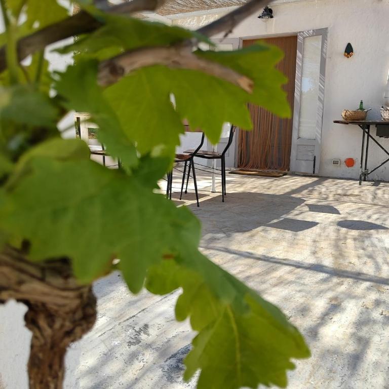 Lamia Giulia - Casa con 1 Camera da Letto - 13
