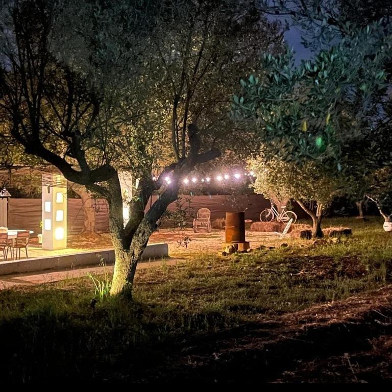 Lamia Giulia - Casa con 1 Camera da Letto - 16