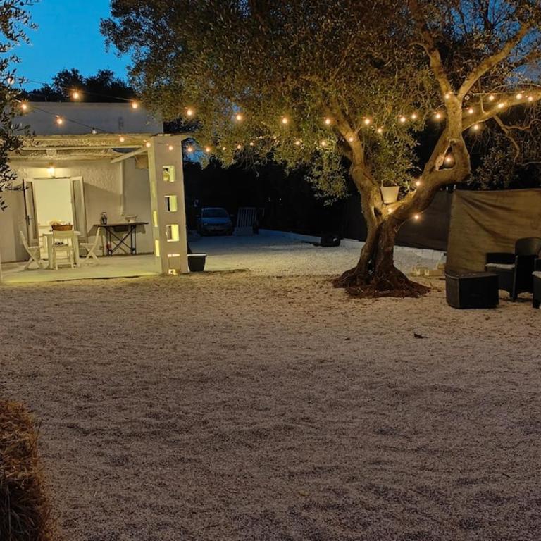Lamia Giulia - Casa con 1 Camera da Letto - 50