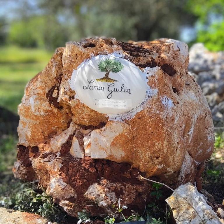 Lamia Giulia - Casa con 1 Camera da Letto - 56