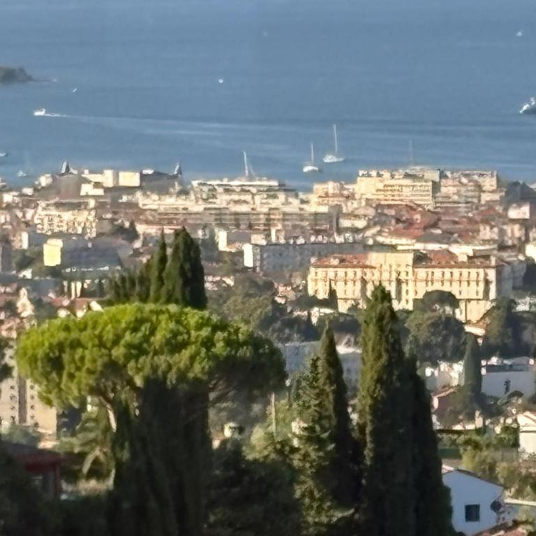 Stunning 3-Room with Panoramic Views Over Cannes - Appartement 2 Chambres - 38