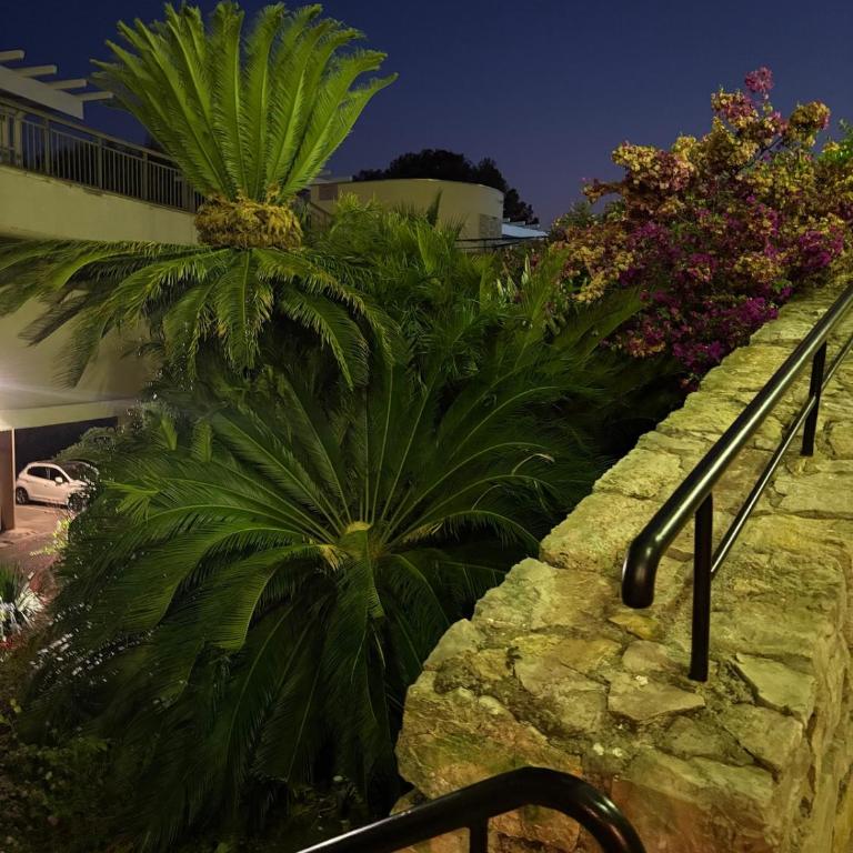 Stunning 3-Room with Panoramic Views Over Cannes - Appartement 2 Chambres - 39