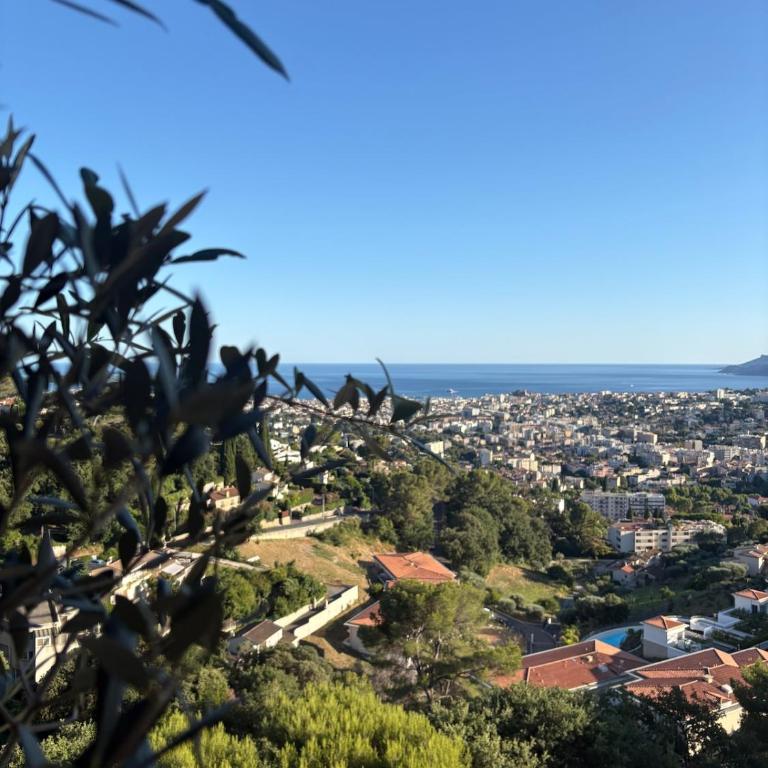 Stunning 3-Room with Panoramic Views Over Cannes - Appartement 2 Chambres - 64