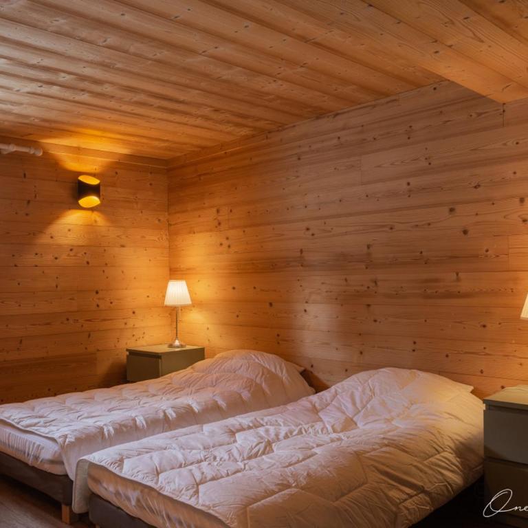 Superbe chalet 6 ch. au pied du domaine des 2 Alpes - Chalet - 6