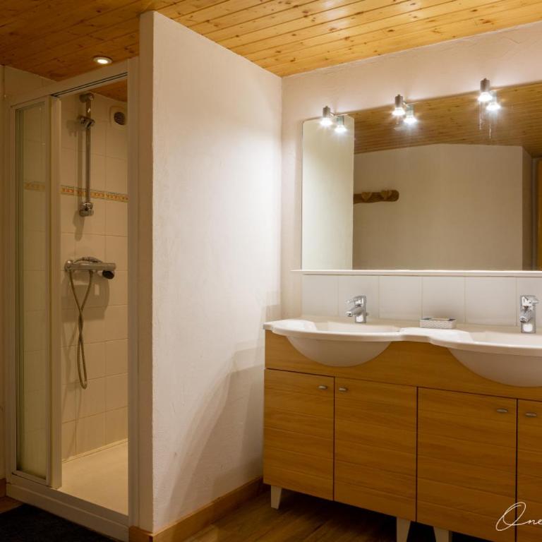 Superbe chalet 6 ch. au pied du domaine des 2 Alpes - Chalet - 23