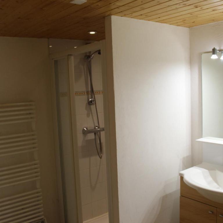Superbe chalet 6 ch. au pied du domaine des 2 Alpes - Chalet - 15