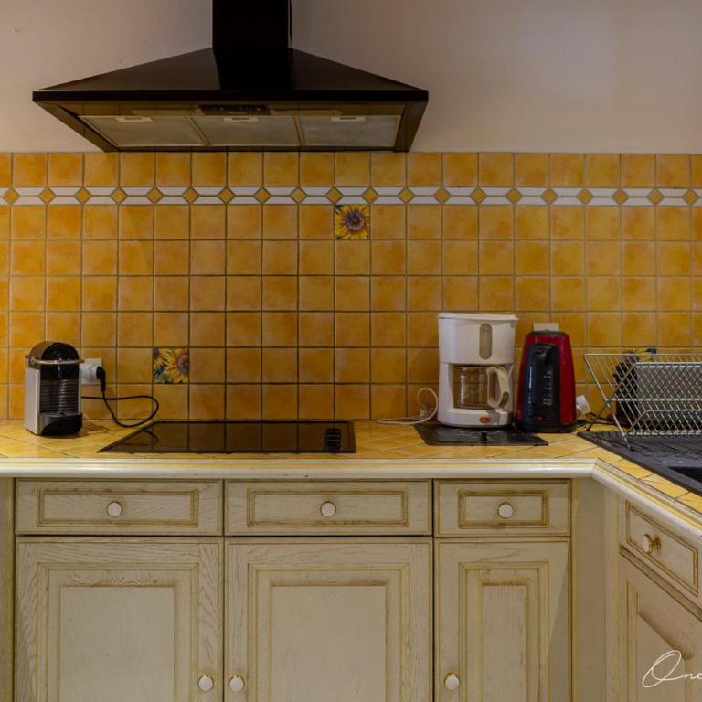 Superbe chalet 6 ch. au pied du domaine des 2 Alpes - Chalet - 22