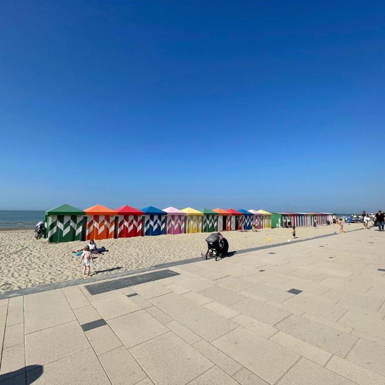 Dunkerque - Cap Nord - Duplex - Plage - Appartement 1 Chambre - 5