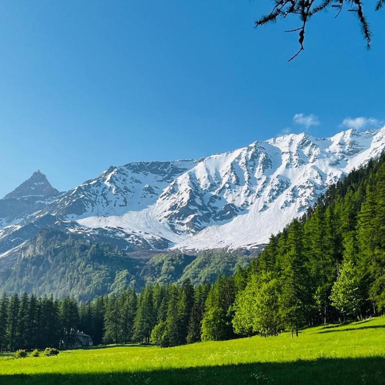 CHALET ALIET 1500 - 18 personnes PEISEY NANCROIX - LES ARCS - LA PLAGNE - PARADISKI - Chalet - 14