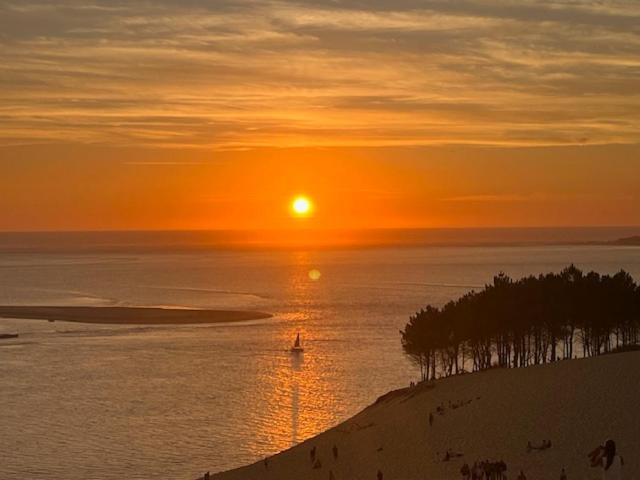 Villa 250m from beach, Moulleau village Arcachon - Villa mit privatem Pool - 25