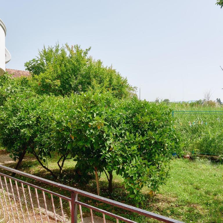 Gardelin Apartment - Apartment - 24