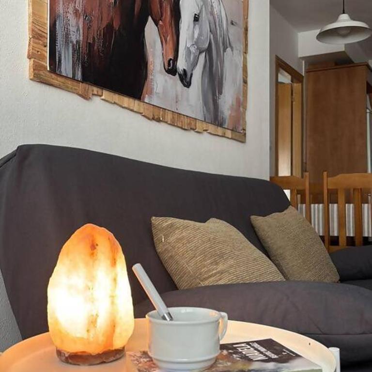 Los caballos Ordesa l Garaje l Céntrico - Appartement 1 Chambre - 7