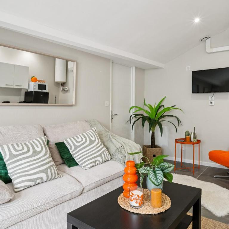 " La Casa verde " Superbe T3, chic & cosy avec climatisation en hypercentre - Apartamento de 2 dormitorios - 1