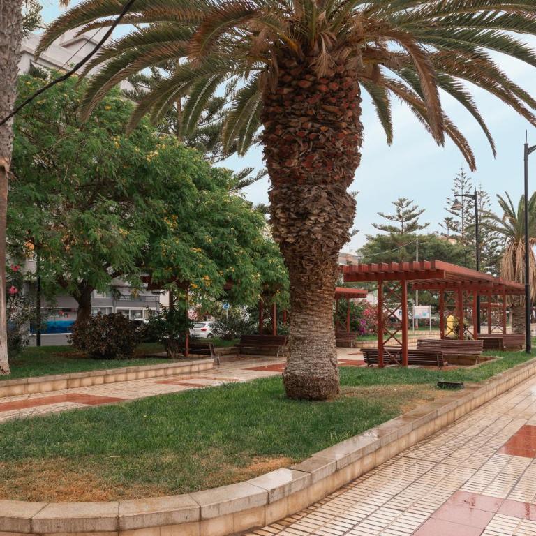 Profithome Viña Vieja - Boutique Apartment Tenerife - Apartamento de 2 dormitorios - 13