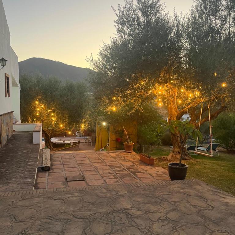 Placeres de Mijas - Villa - 43